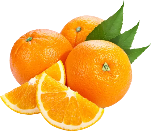 Valencia Oranges exported from Egypt
