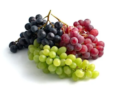 Grapes exported from Egypt