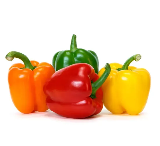 Coloured Capsicum exported from Egypt