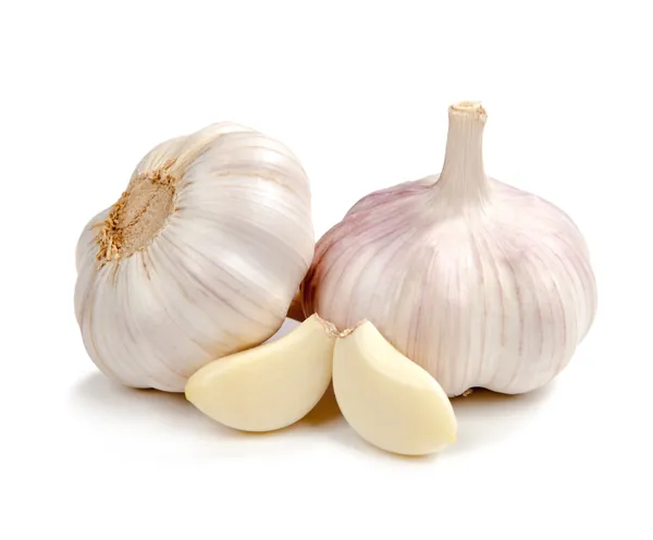 Garlic exported from Egypt