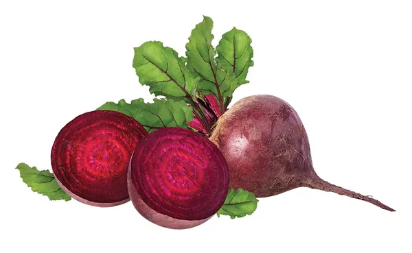 Red Beets exported from Egypt